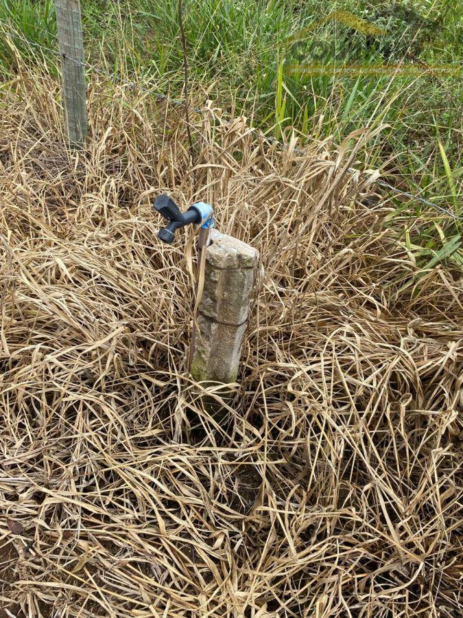 WhatsApp Image 2026-02-27 at 10.27.50 (1).jpeg